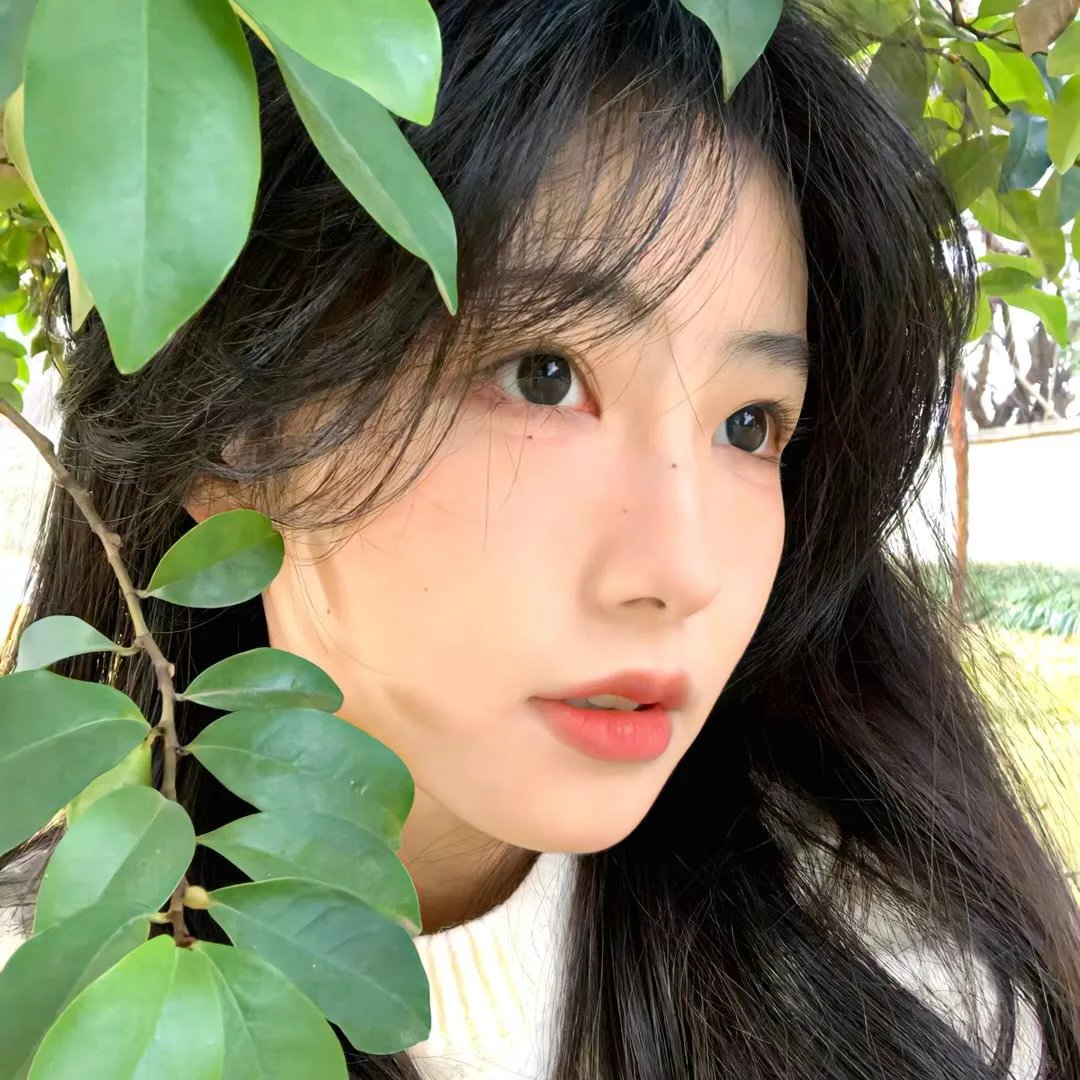 侦探佳安：锋利的刀刃